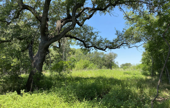 Unrestricted 5.2 Acres of Land in Poteet, TX