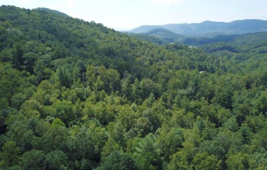 35 Acre Wooded, Mountain Property near Millers Creek, NC