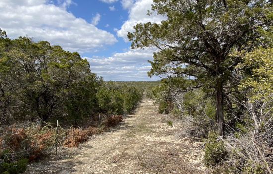 30 Acres Wooded Hill Country Peace & Quiet in Hondo, TX