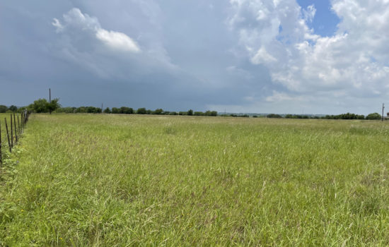 15+ Unrestricted Acres Near Booming San Marcos, TX