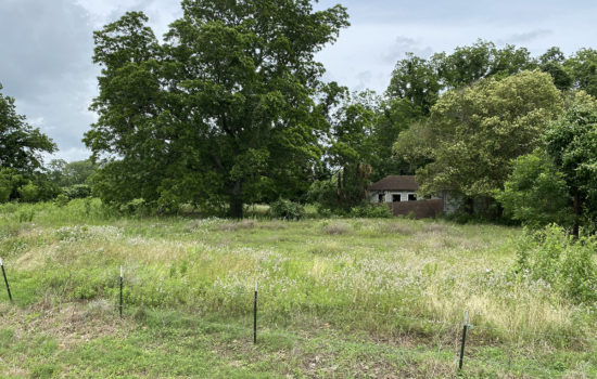 Walk Like an Egyptian on 7+ Acres in Egypt…Texas