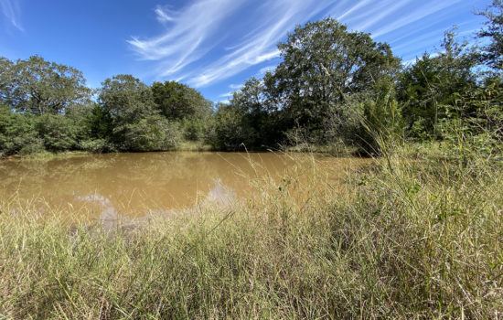 Ag-Exempt 11 Acres with Tank near Waelder, TX