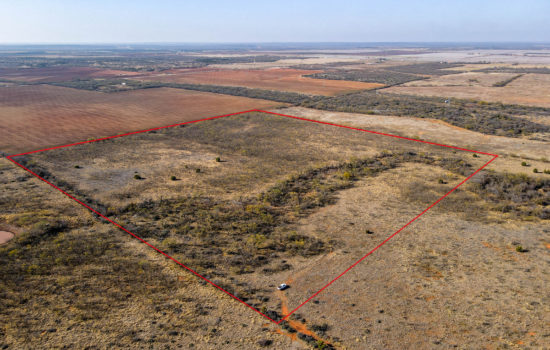 40 Acres of West Texas Beauty in Trent, TX